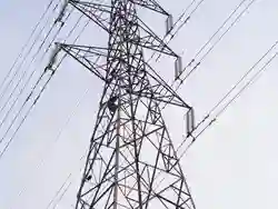 Cegah Warga Dari Panjat Tower SUTET Lagi, Camat Bojonggede Akan Pasang Pengaman